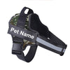 Personalised Dog Harness