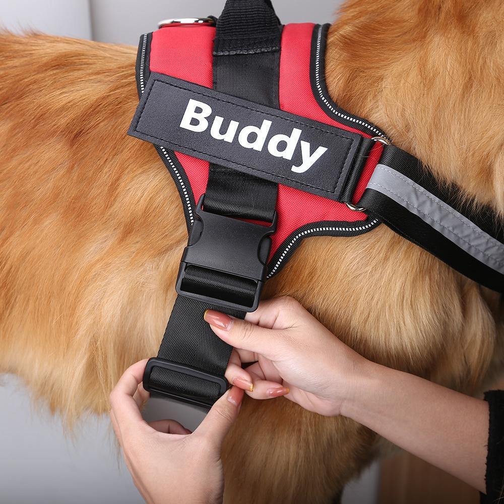 Personalised Dog Harness