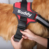 Personalised Dog Harness