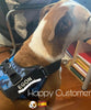 Personalised Dog Harness