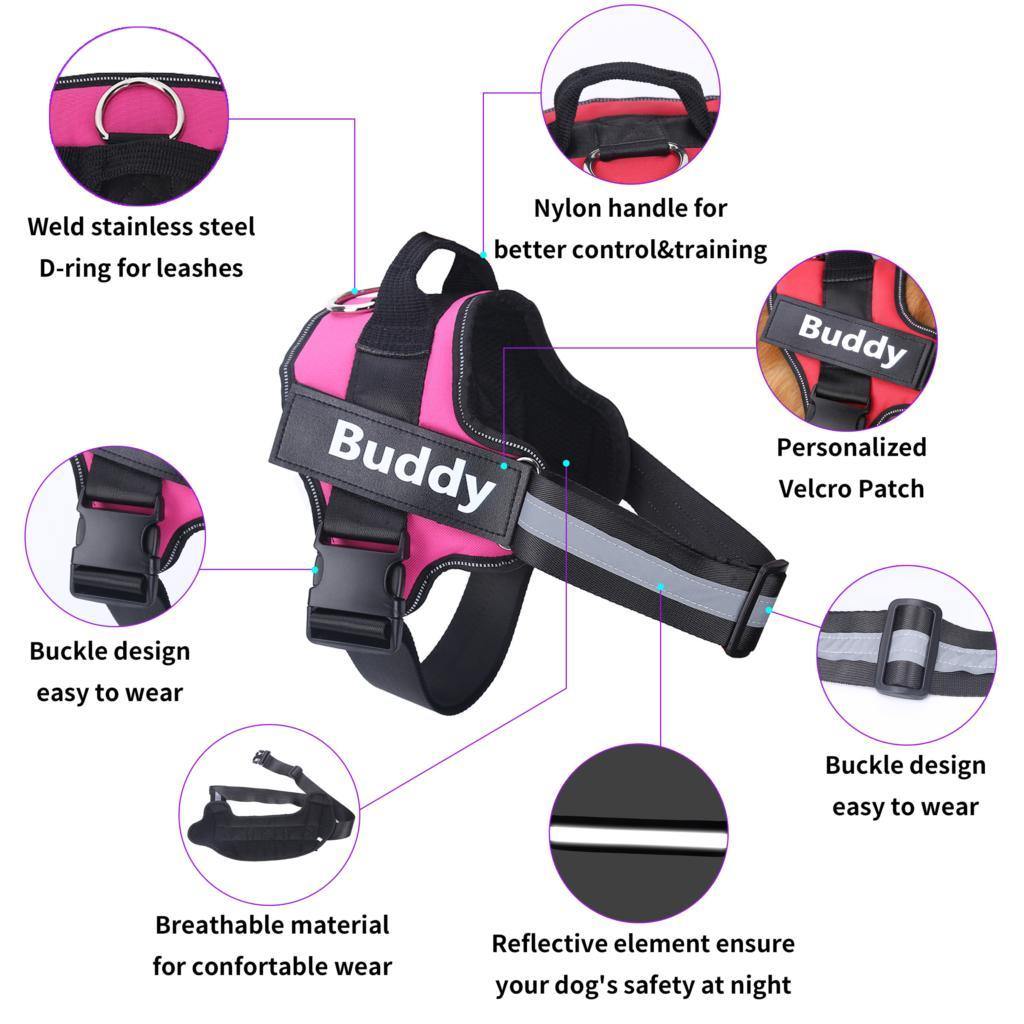 Personalised Dog Harness