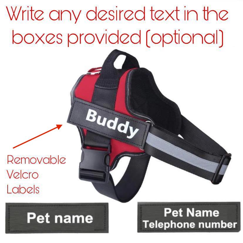 Personalised Dog Harness