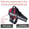 Personalised Dog Harness