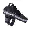 Personalised Dog Harness