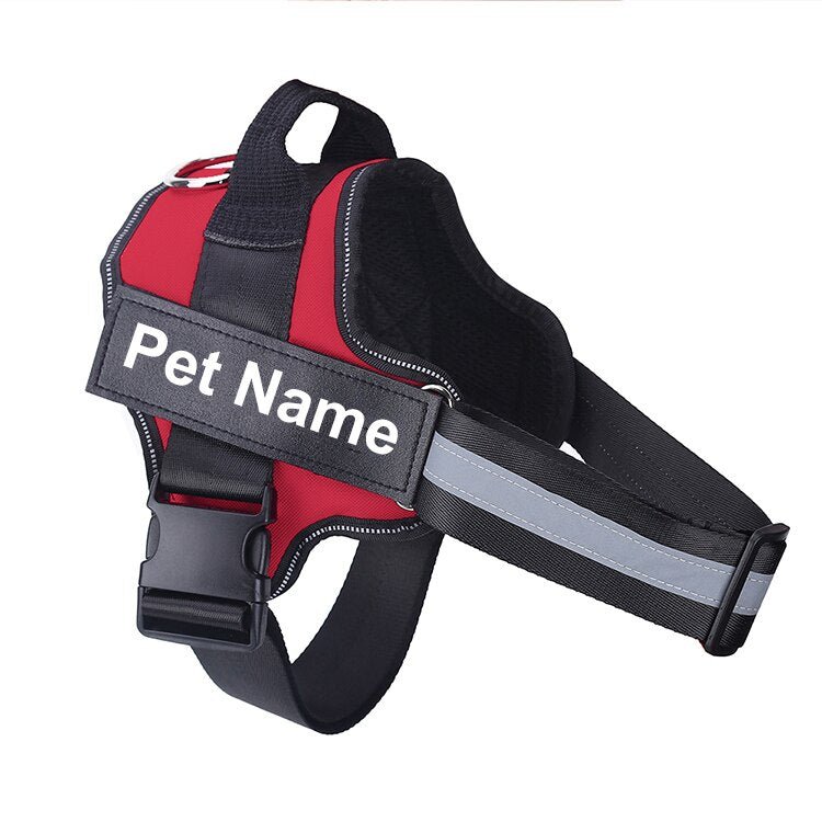 Personalised Dog Harness