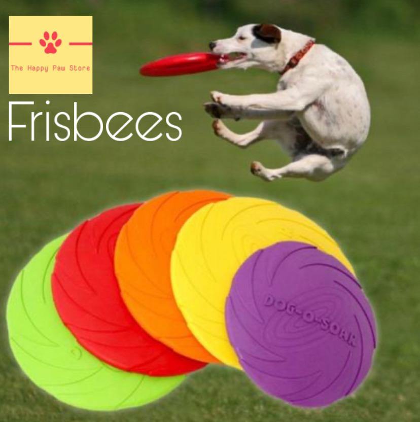 Frisbee pour animaux de compagnie