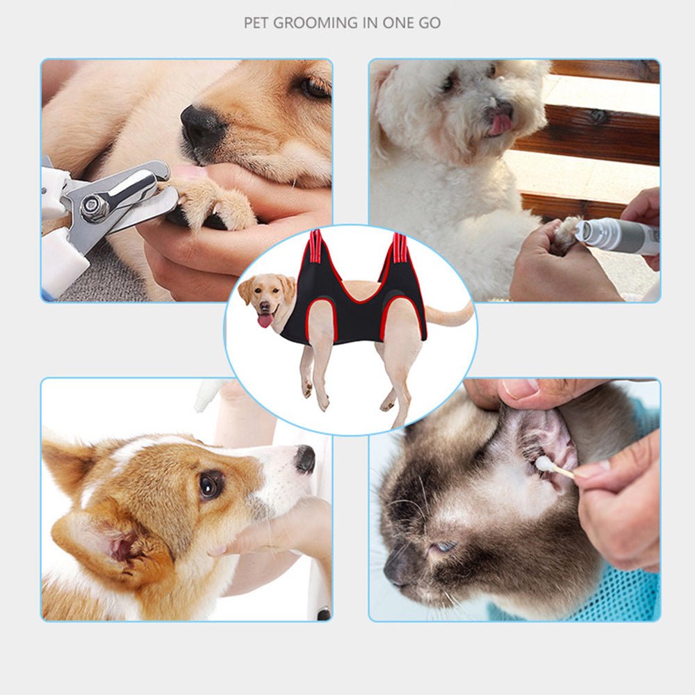 Pet Grooming Hammock – The Happy Paw Store - Main Image