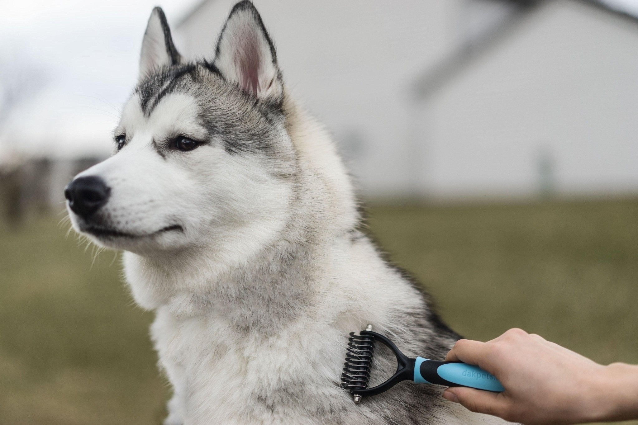 Pet Hair Dematting Comb