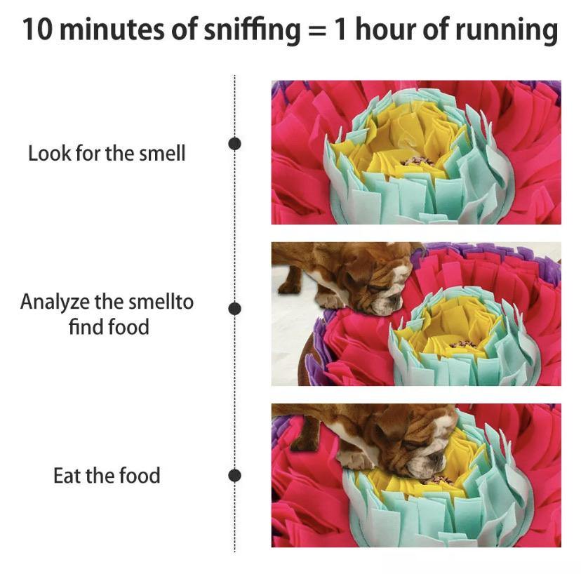 Voer- en snuffelmatten voor huisdierenpuzzels