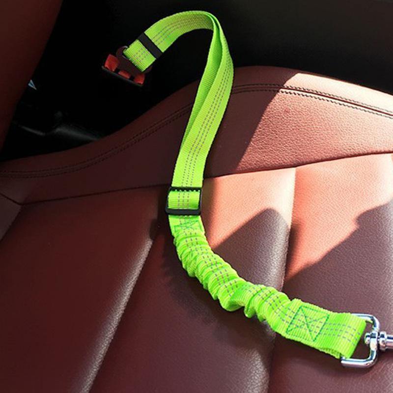 Pet Seat Belt