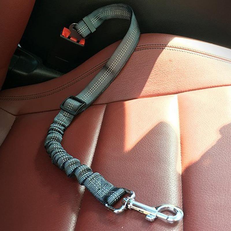 Pet Seat Belt