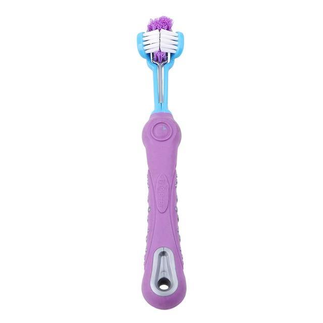 Brosse à dents pour animaux de compagnie