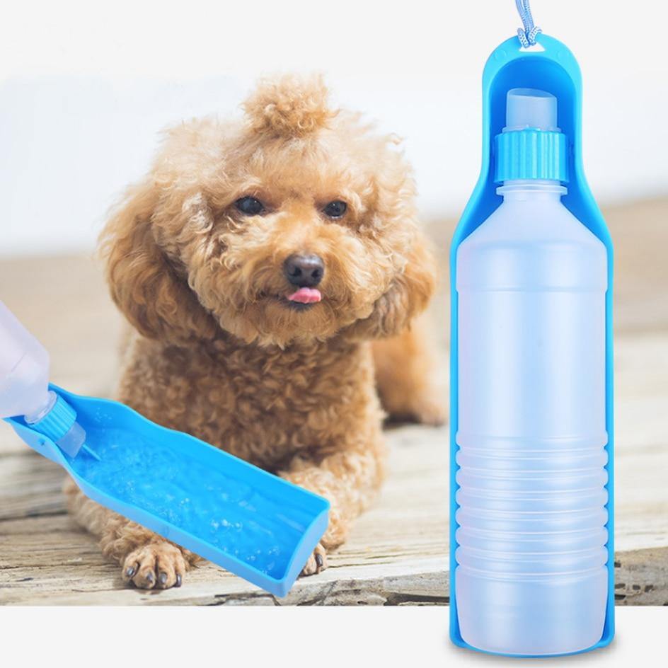 Bouteille d'eau pour animaux de compagnie 