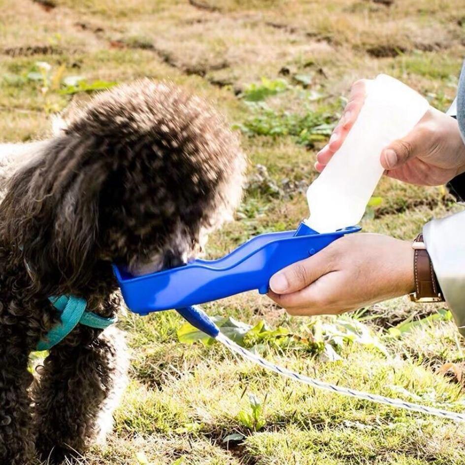 Pet Water Bottle