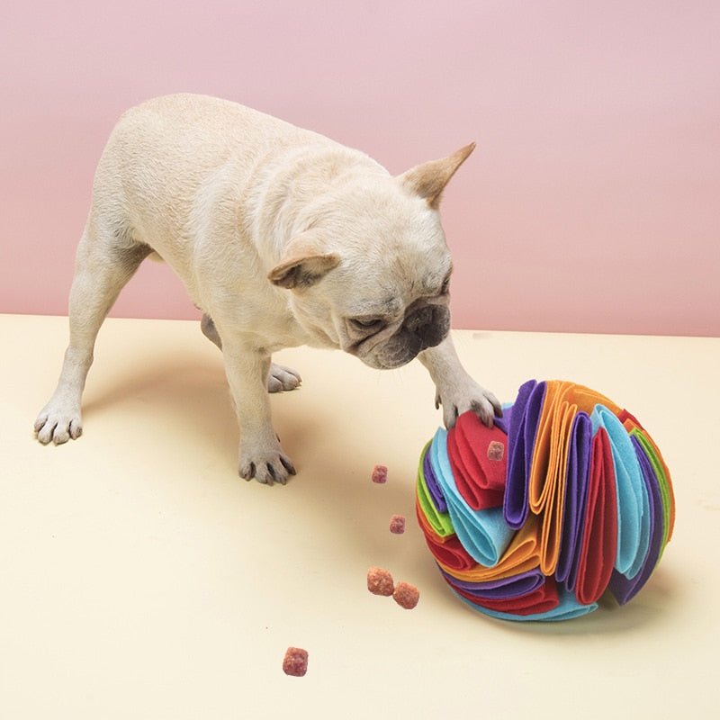 Snuffle Ball Dog Search Interactive Dog Toys Ball Snuffle Mat Rainbow Snuffle Ball Puzzle Toys Pet IQ Slow Feeding Dispensing Ball Training Games Ball