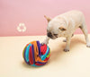 Laden Sie das Bild in den Galerie-Viewer, Dog Snuffle Toy