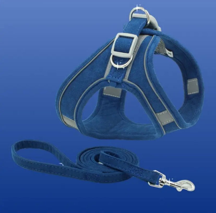 Soft Dog Harness with Lead