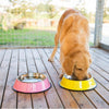 Stainless Steel Dog Bowls