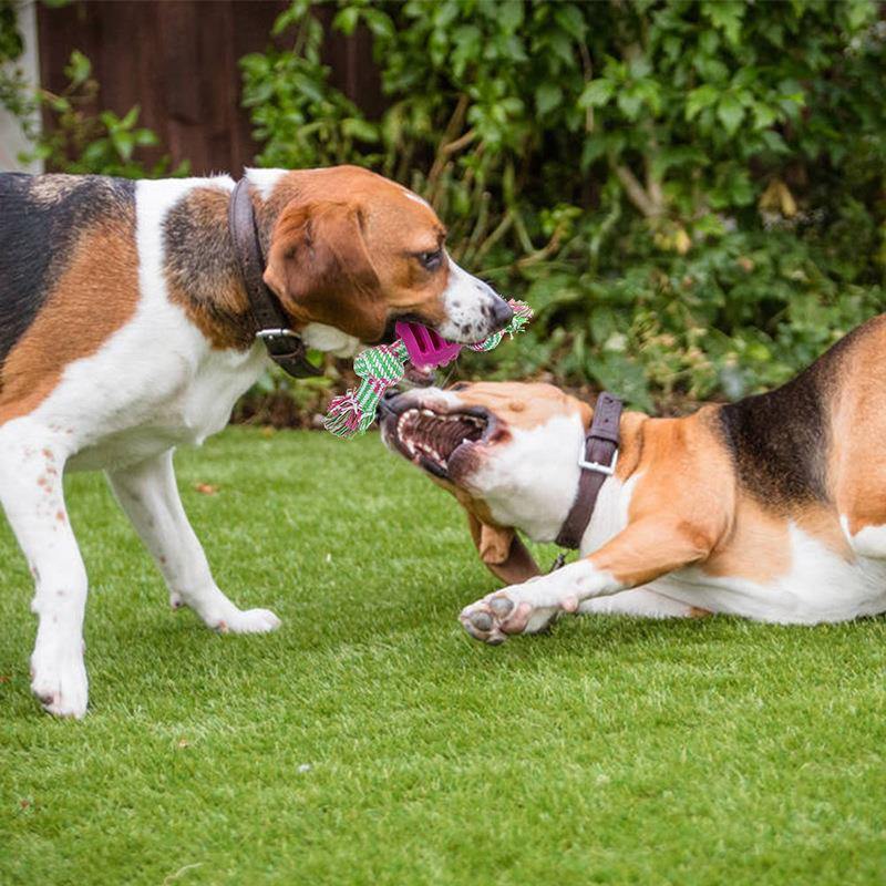 Tough Dog Rope Toy