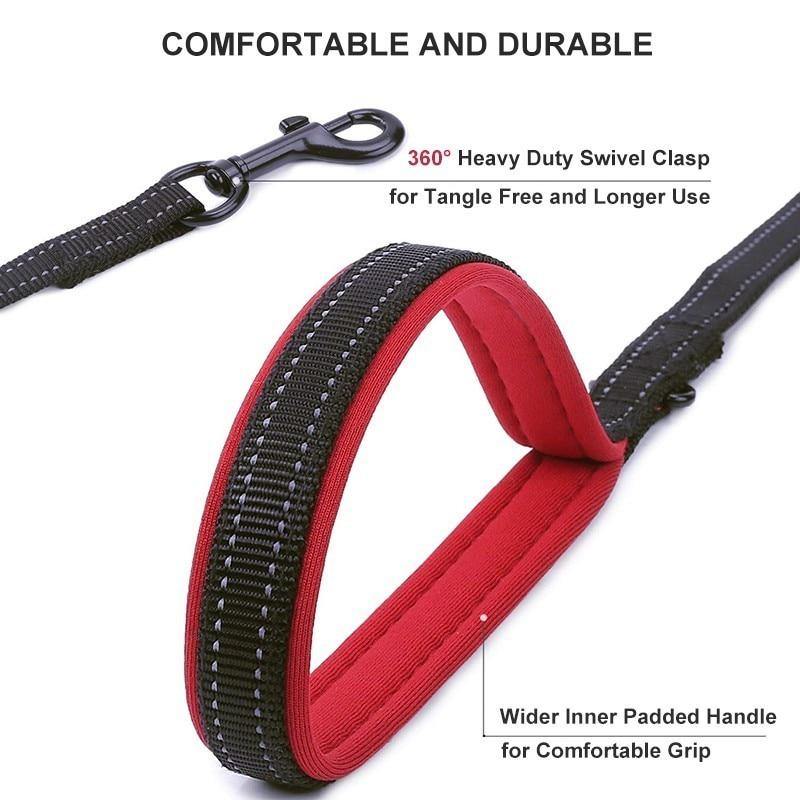 Two Handled Reflective Dog Leash