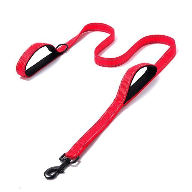 Two Handled Reflective Dog Leash