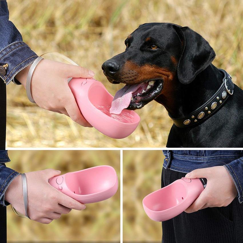 Bouteille d'eau ultime pour animaux de compagnie