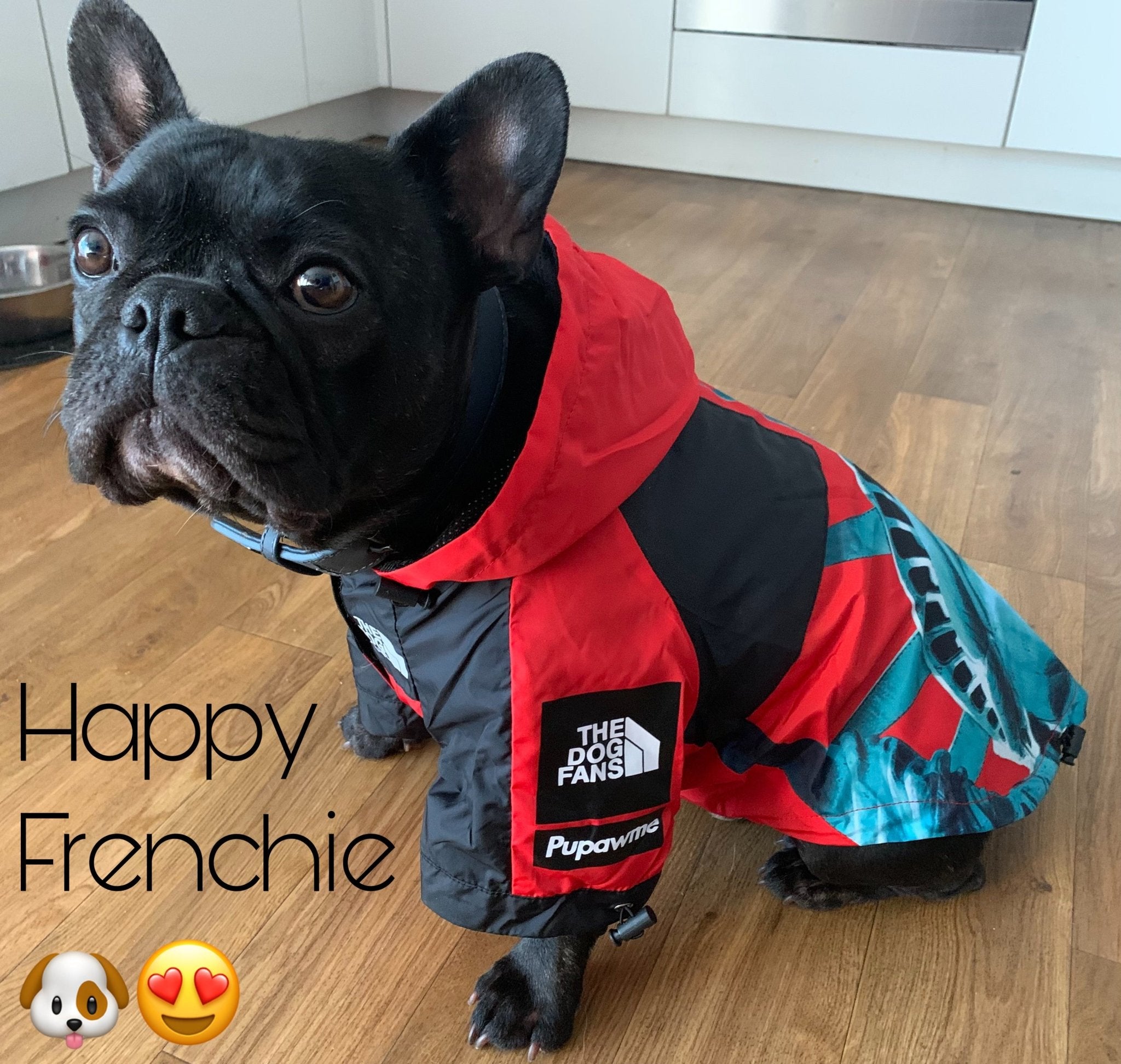 Veste imperméable pour chien - Toutes races