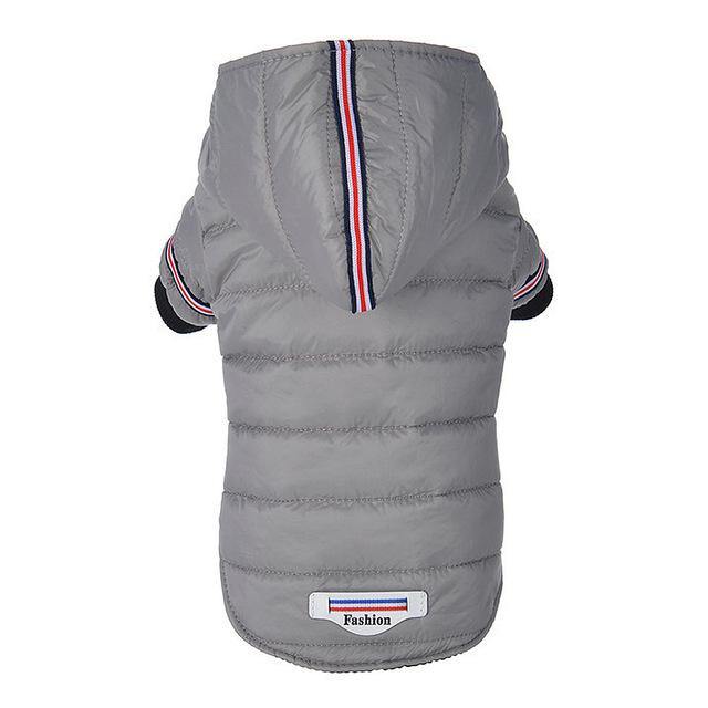 Veste imperméable pour chien avec capuche (petites races)