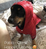 Veste imperméable pour chien avec capuche (petites races)