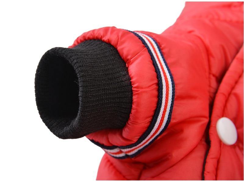 Veste imperméable pour chien avec capuche (petites races)