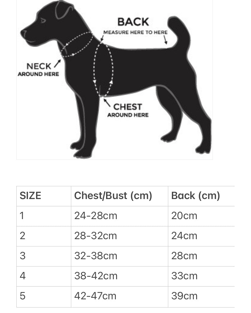 Veste imperméable pour chien avec capuche (petites races)