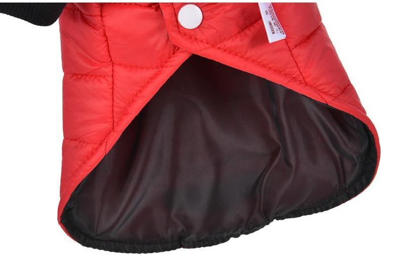 Veste imperméable pour chien avec capuche (petites races)