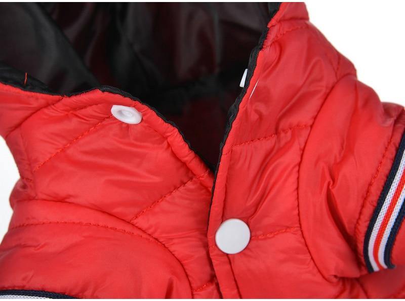 Waterproof Dog Jacket with Hood  (Small Breeds)