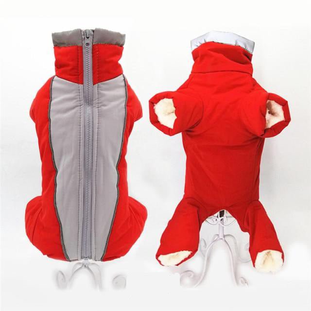 Combinaison imperméable pour chien