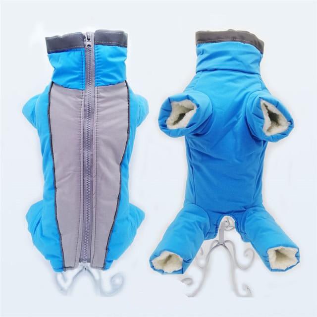 Combinaison imperméable pour chien