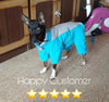 Combinaison imperméable pour chien