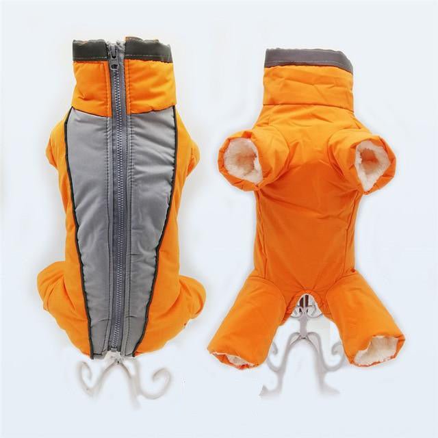 Combinaison imperméable pour chien