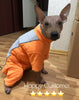 Combinaison imperméable pour chien