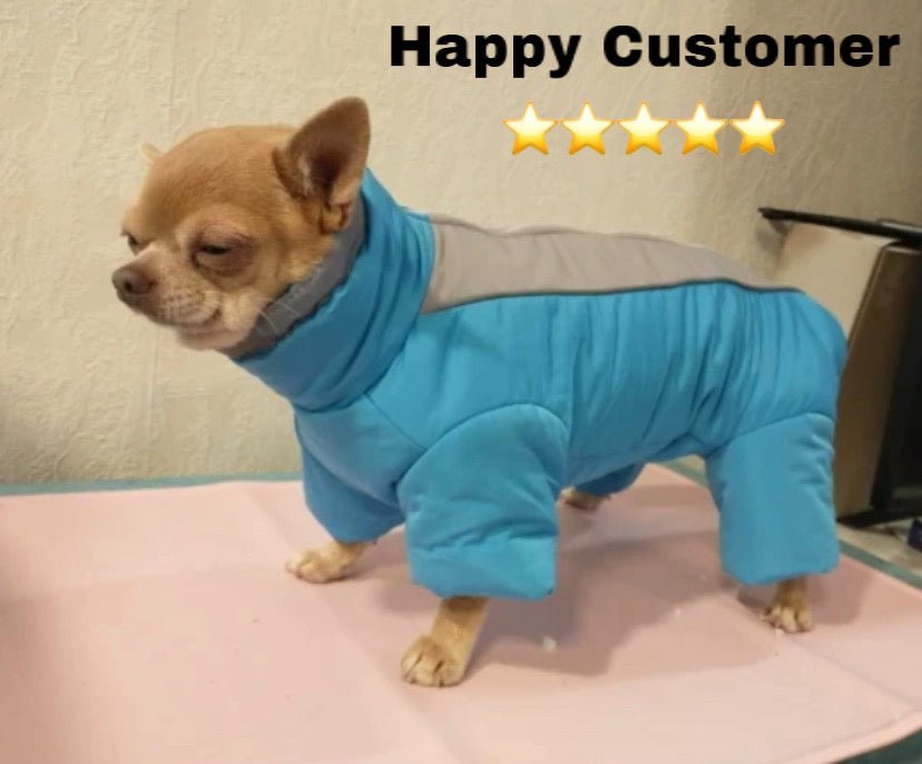 Combinaison imperméable pour chien