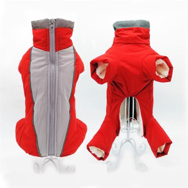 Combinaison imperméable pour chien