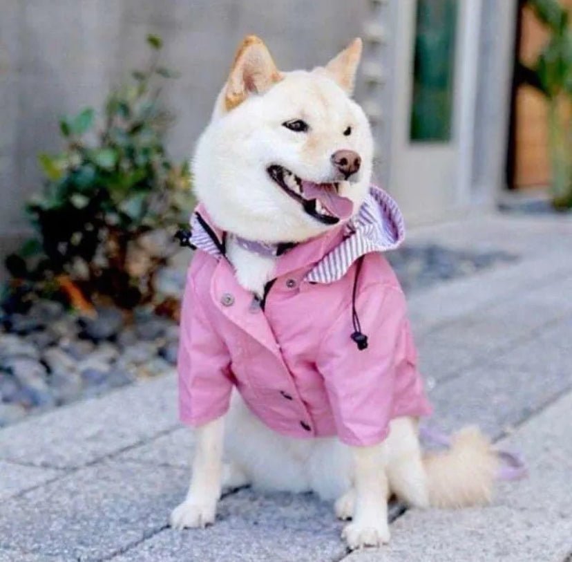 Waterproof Dog Raincoat