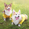 Waterproof Dog Raincoat