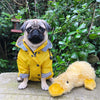Waterproof Dog Raincoat