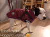 Harness Dog Jacket