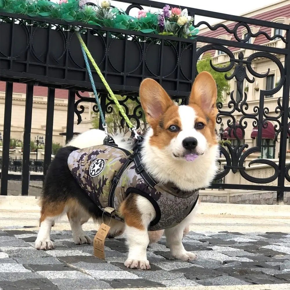 Waterproof Jacket with Harness - All Breeds