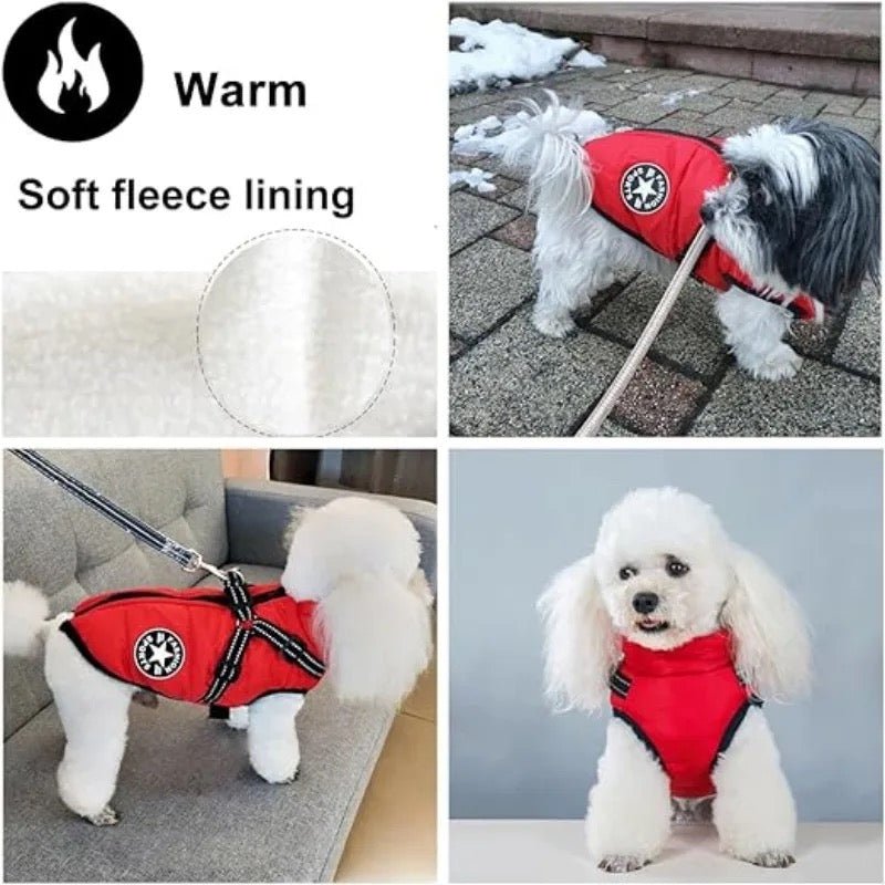 Ororo Koldpwoof verwarmde hondenvest Review 2025: Hoe warm te blijven Ororo Koldpwoof verwarmde hondenvest Review 2025: Hoe warm te blijven