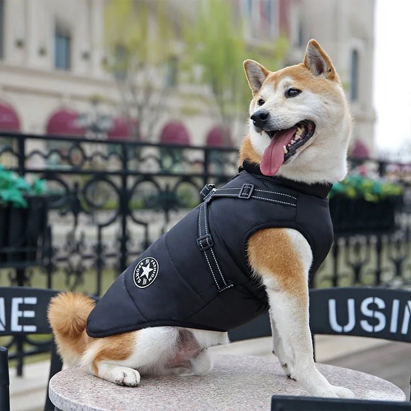 Waterproof Jacket with Harness - All Breeds