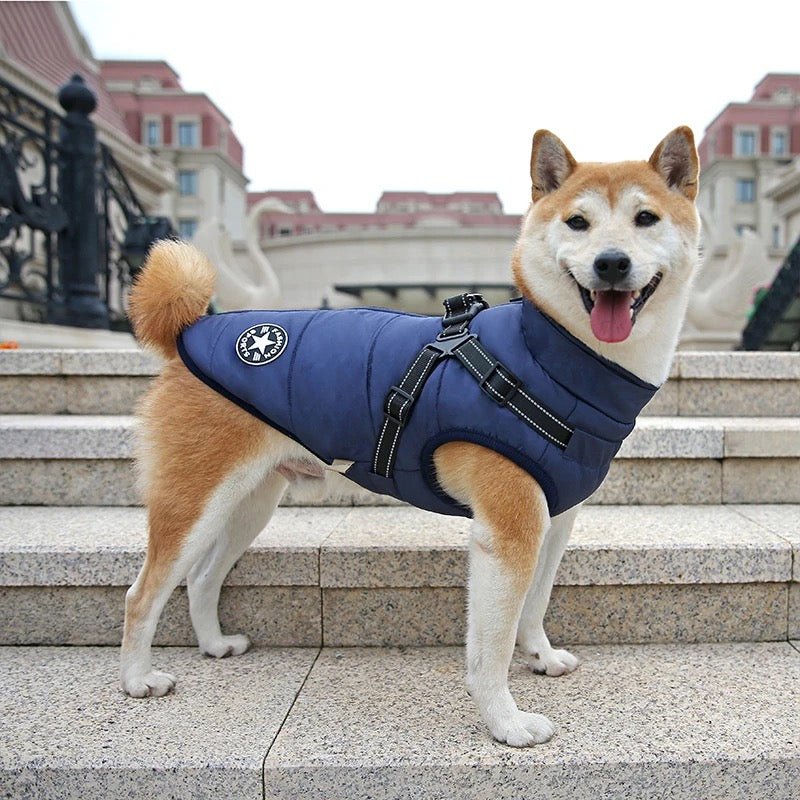 Waterproof Jacket with Harness - All Breeds