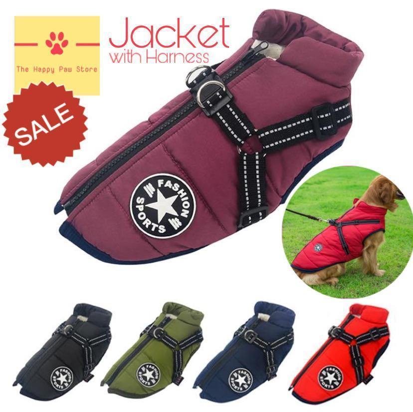 waterproof dog jacket with Harness
