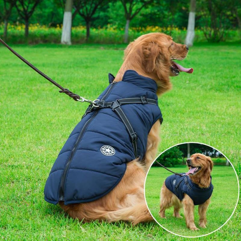 waterproof dog jacket with Harness